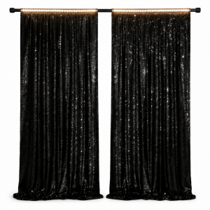 2-Panel Backdrop Curtain (4 x 8 ft)
